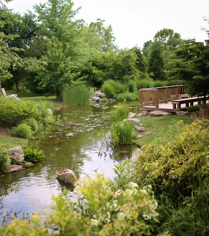 pond in the middle of a suburban area