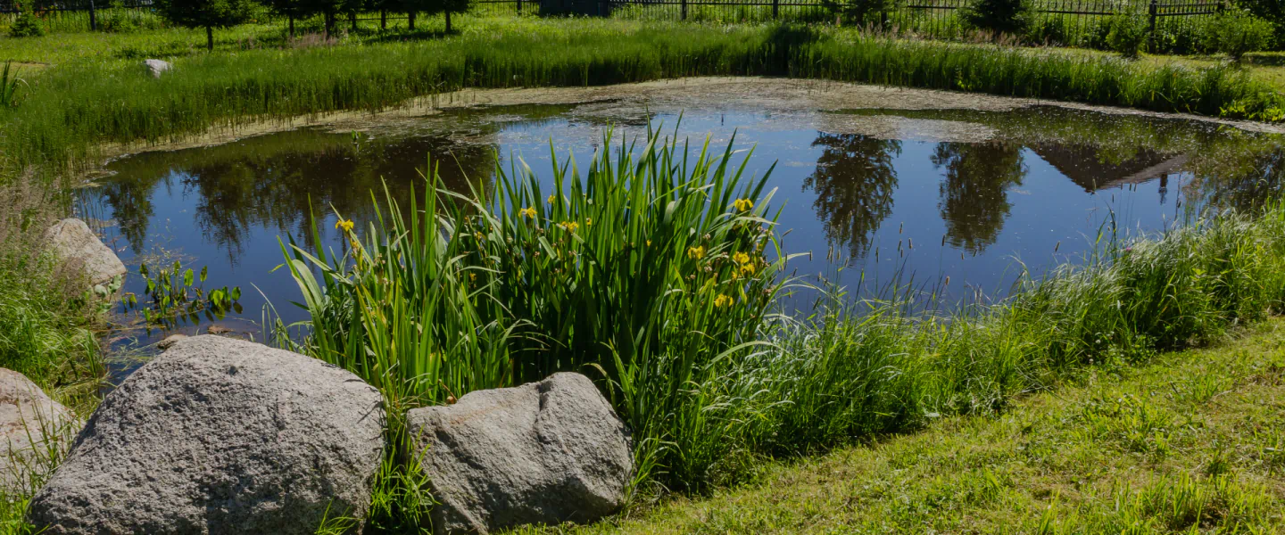 pond in the middle of country neighborhood