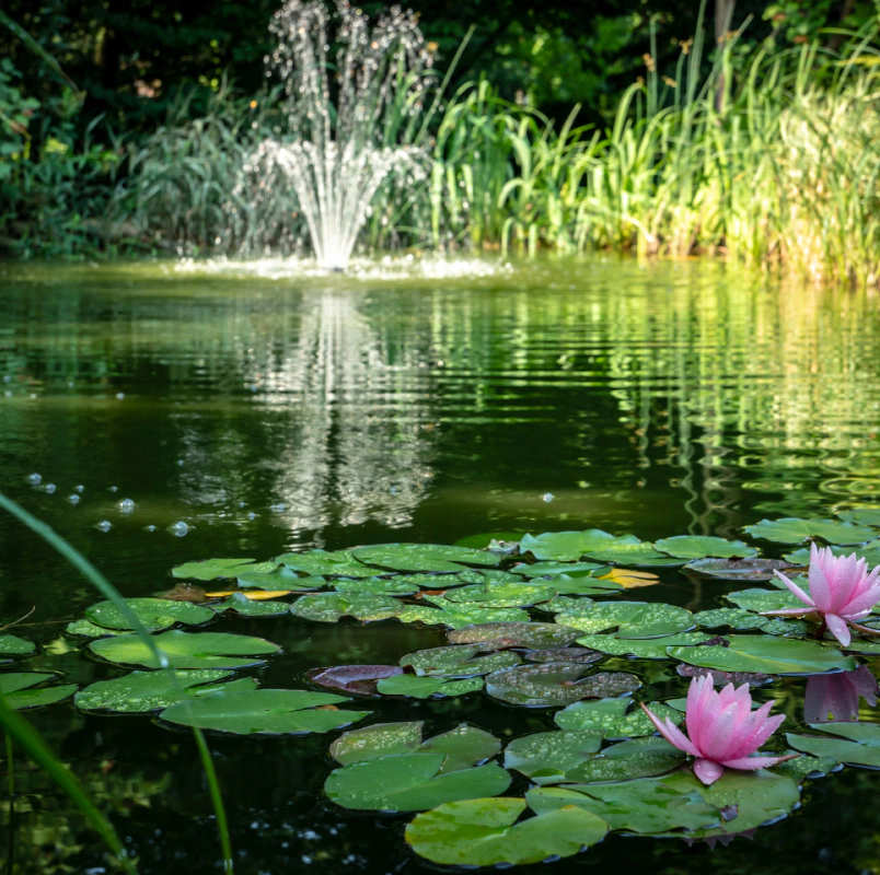 pond with lilies and small fountains