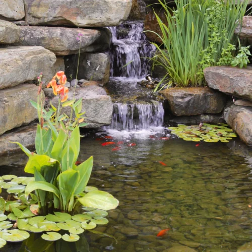 pond with stone hardscaping